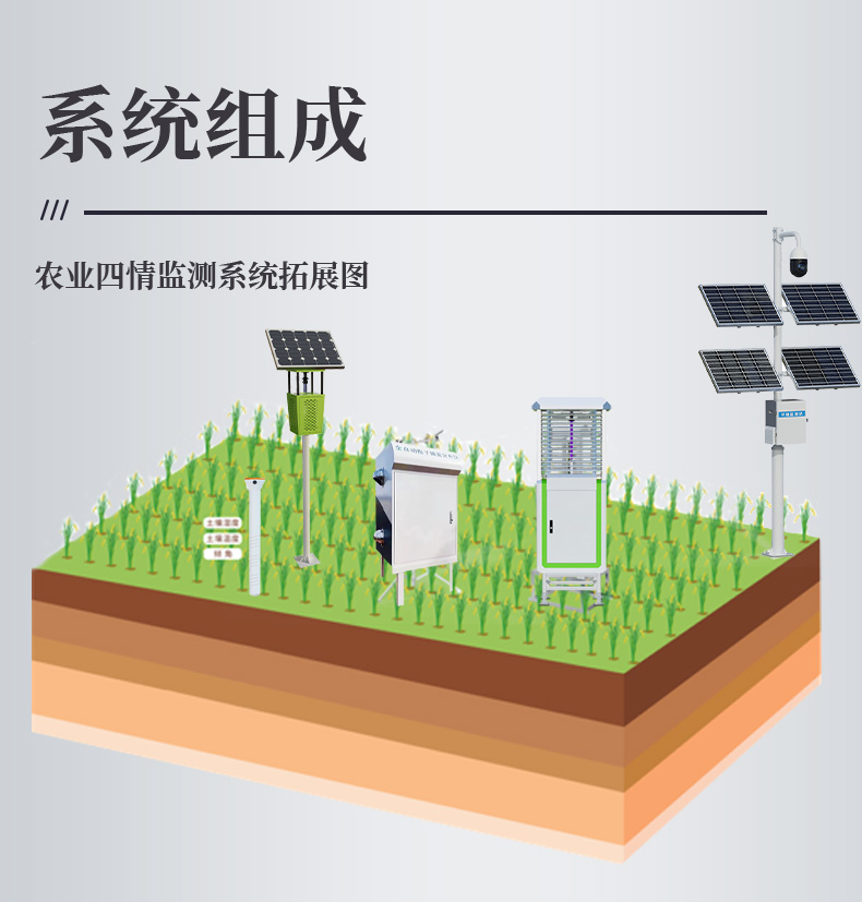详情_03.jpg